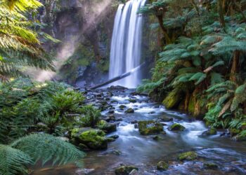 La fuente para nuestra vida espiritual