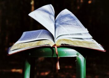 ¿Lees la Biblia lo suficiente?