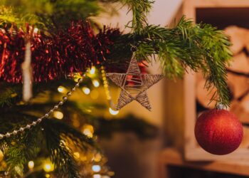 Disfrutando a Cristo en familia durante la navidad