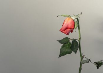 ¿Por qué debemos crucificar el orgullo?