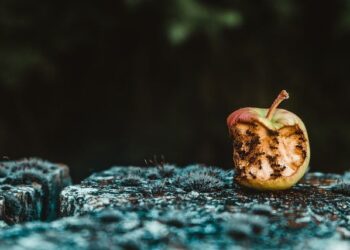 El pecado nunca cumple sus promesas