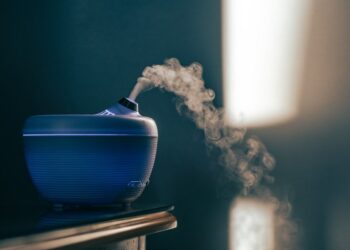 Lo esencial: la creación