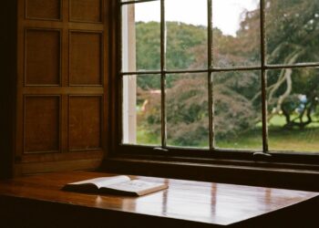 Ora para maravillarte: cómo ver más belleza en la Biblia