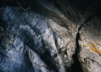 Pequeñas semillas que parten grandes rocas: las pequeñas cosas que dividen a las iglesias
