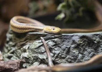 7 falsos maestros en la iglesia hoy en día