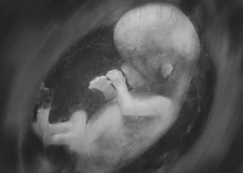 Los dulces propósitos de Dios