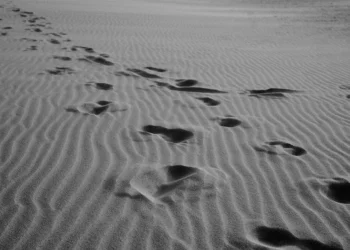 Cada paso dado hacia el calvario fue por amor