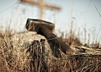 La mejor promesa de Dios