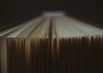 Sobre el cambio de los diccionarios: las palabras importan