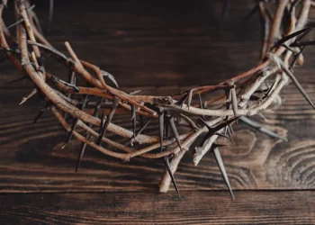 Humildad sin paralelo