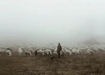 Señor soberano, pastor bondadoso
