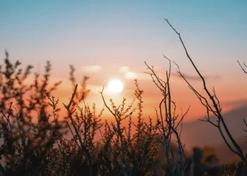 Misericordia para hoy