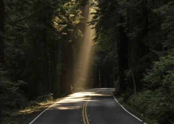 El camino hacia adelante