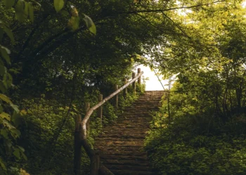 ¿Qué significa la escalera del sueño de Jacob?