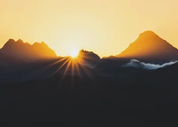 El Sacerdote que necesitamos